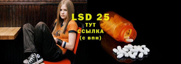 ГАЛЛЮЦИНОГЕННЫЕ ГРИБЫ Алзамай