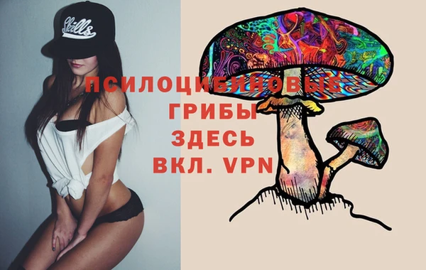 ГАЛЛЮЦИНОГЕННЫЕ ГРИБЫ Алзамай