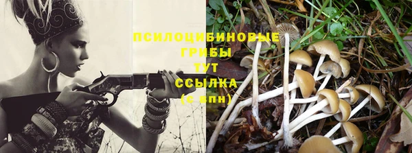 ПСИЛОЦИБИНОВЫЕ ГРИБЫ Алексин