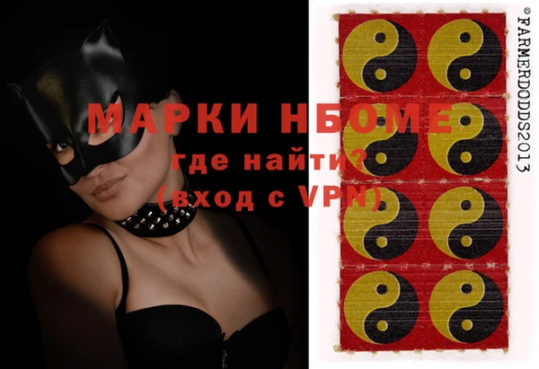 шишки Осташков