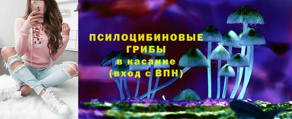 ПСИЛОЦИБИНОВЫЕ ГРИБЫ Алексин