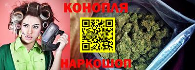 индика Шахты
