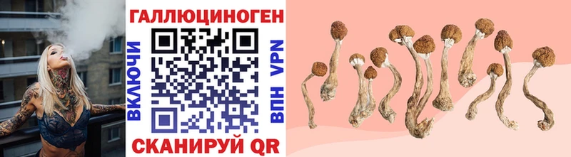 мега зеркало  Белебей  Псилоцибиновые грибы Psilocybe 