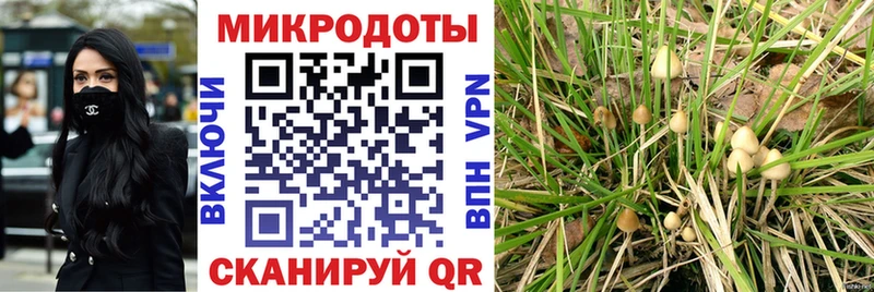 Псилоцибиновые грибы мицелий Белебей