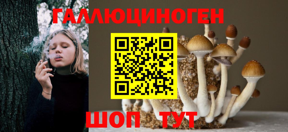 Галлюциногенные грибы MAGIC MUSHROOMS  Псилоцибиновые грибы Cubensis  Белебей  Вход с VPN 