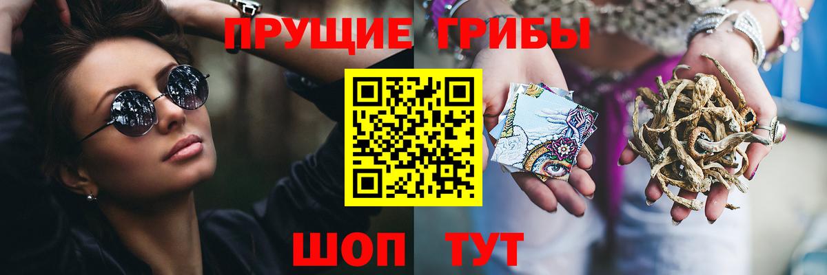 Галлюциногенные грибы Psilocybe Белебей